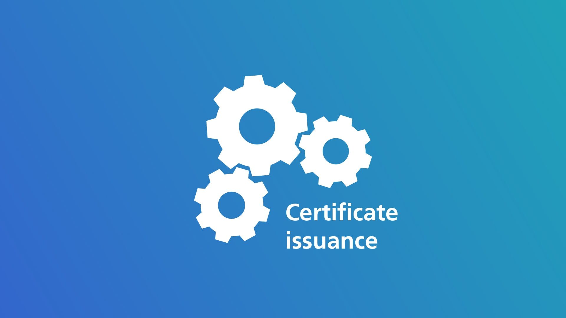 PKI Bild Prozess Issuing (Ausstellung) (D)