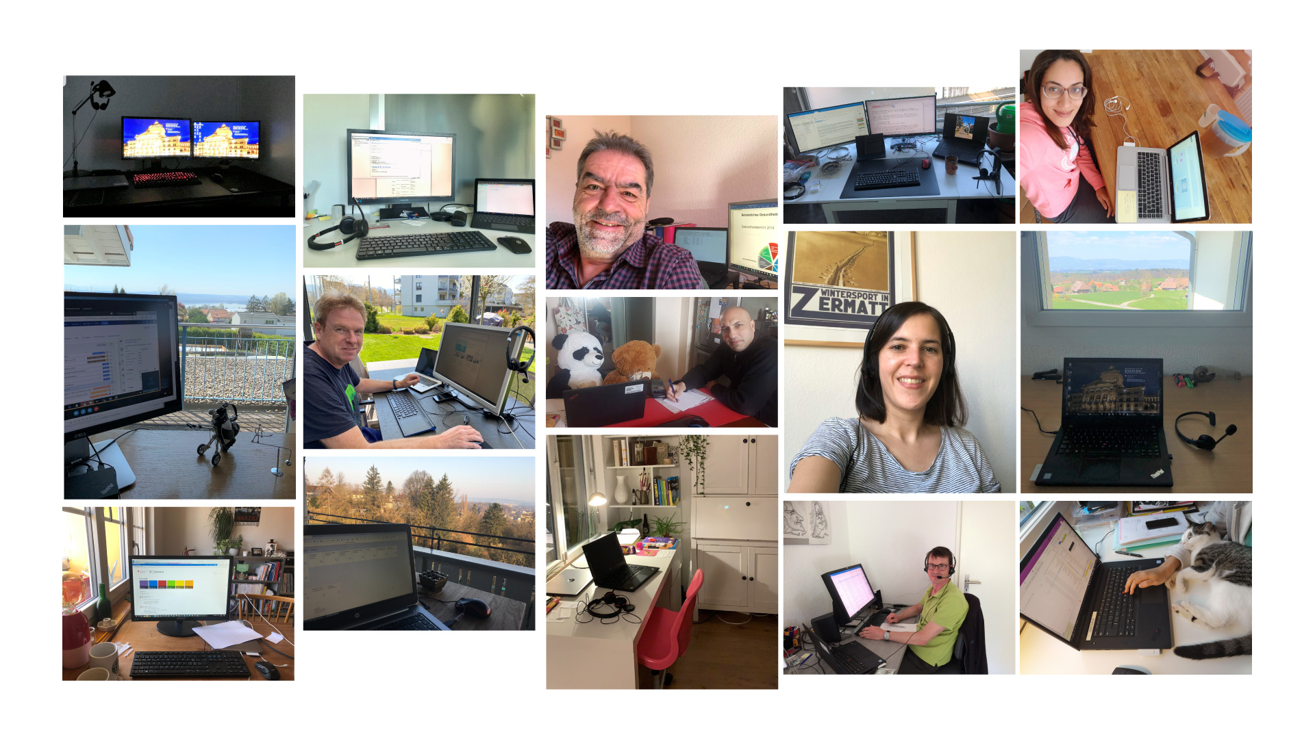 Collage von Mitarbeitenden des BIT im Homeoffice.