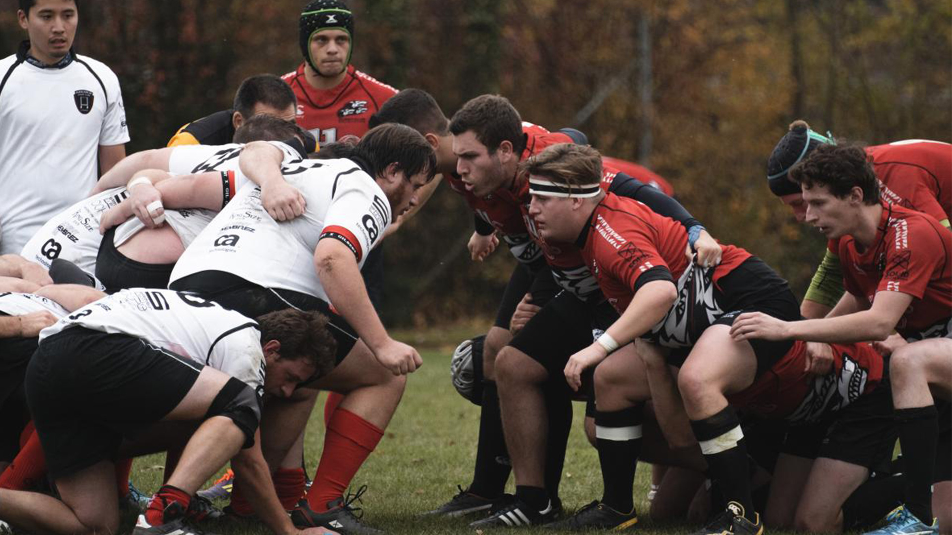 Les équipes composées de huit joueurs chacune sont face à face en formation «scrum».
